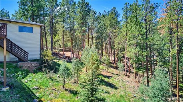 33511 Nova Road Pine, CO 80470