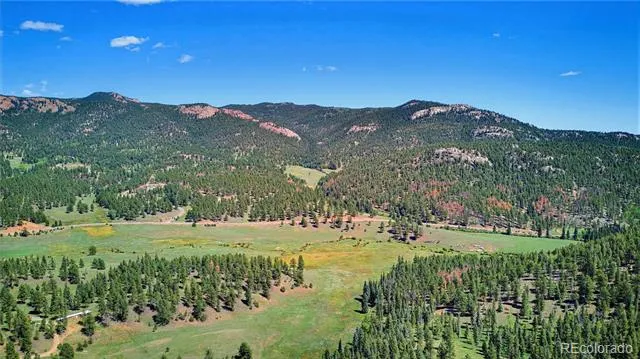33511 Nova Road Pine, CO 80470
