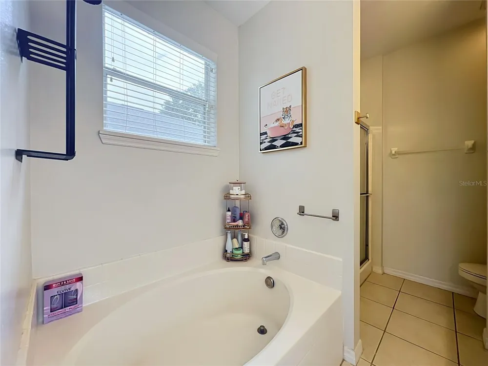 912 MAGNOLIA BLOSSOM COURT Apopka, FL 32712
