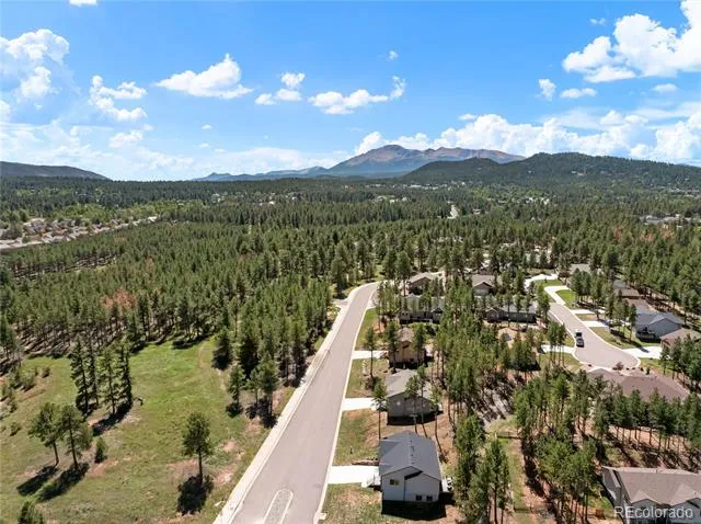 1382 Ridgestone Drive Woodland Park, CO 80863