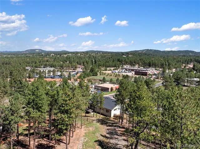 1382 Ridgestone Drive Woodland Park, CO 80863