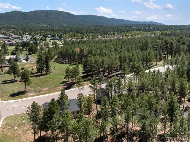 1382 Ridgestone Drive Woodland Park, CO 80863