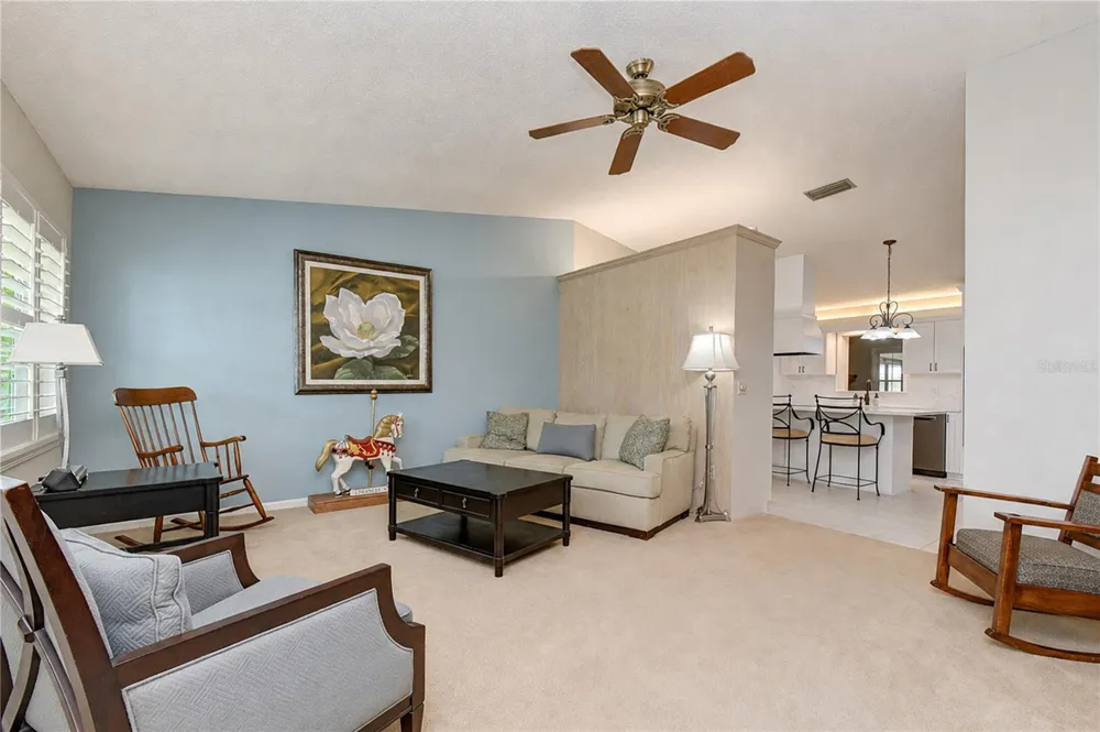 3917 KING DRIVE Brandon, FL 33511