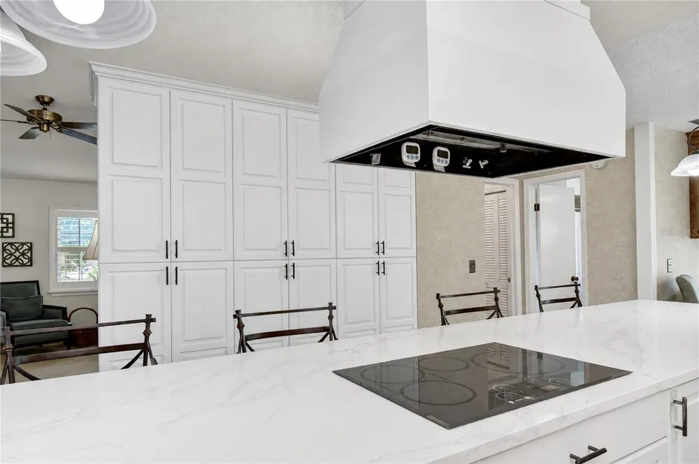 3917 KING DRIVE Brandon, FL 33511