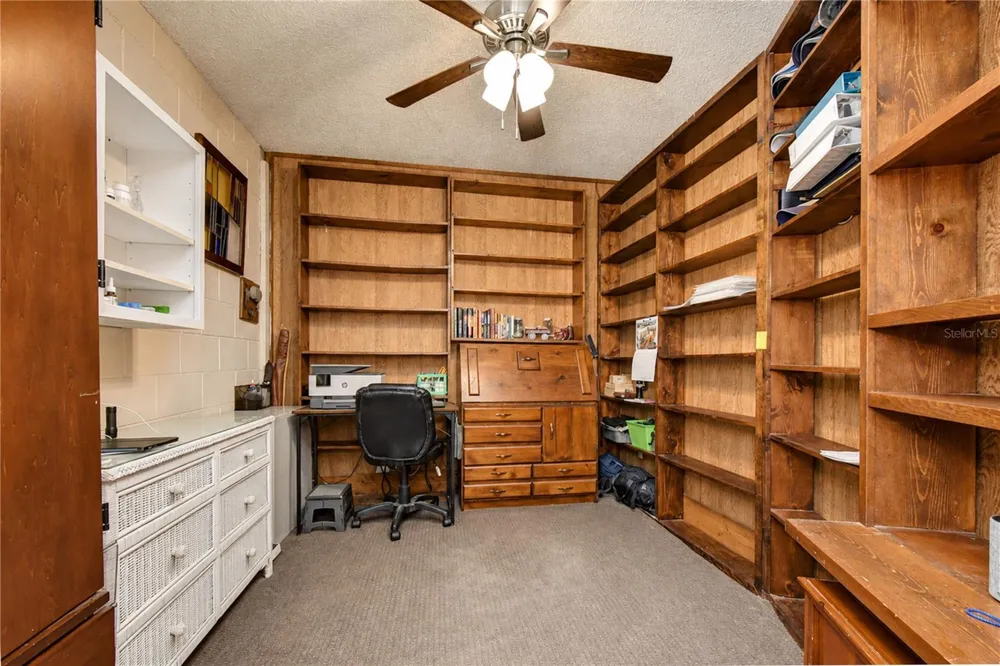 3917 KING DRIVE Brandon, FL 33511
