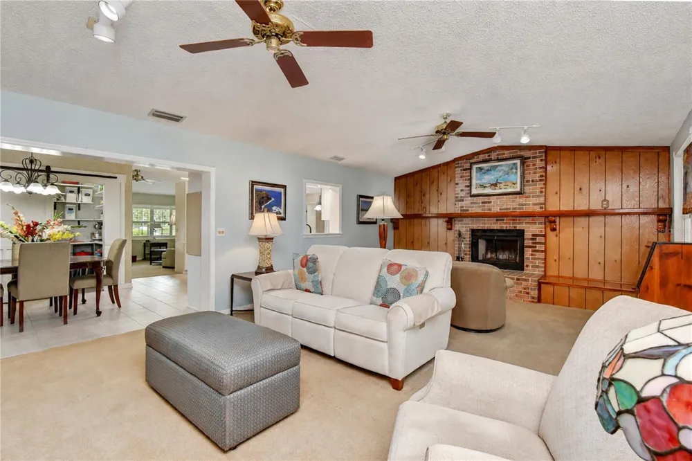 3917 KING DRIVE Brandon, FL 33511