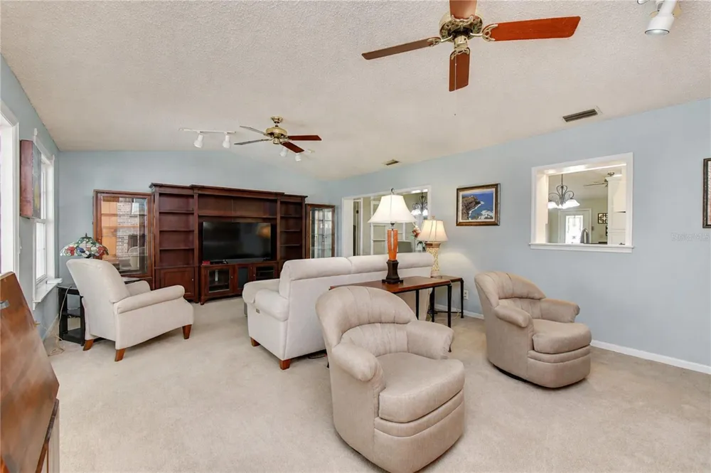 3917 KING DRIVE Brandon, FL 33511
