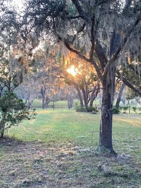 5450 W KNOXVILLE LANE Dunnellon, FL 34433