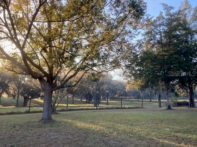 5450 W KNOXVILLE LANE Dunnellon, FL 34433