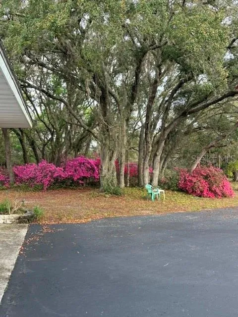 5450 W KNOXVILLE LANE Dunnellon, FL 34433