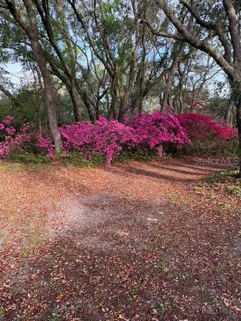 5450 W KNOXVILLE LANE Dunnellon, FL 34433