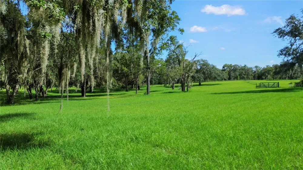 5450 W KNOXVILLE LANE Dunnellon, FL 34433