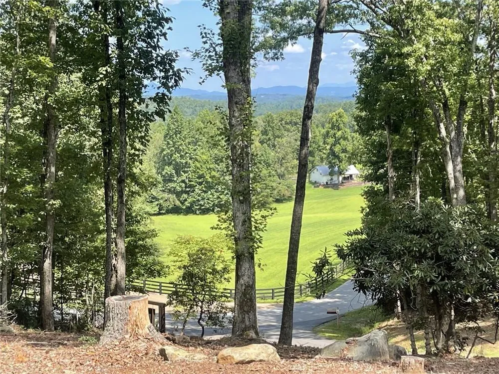 60 Oasis Drive Blue Ridge, GA 30513