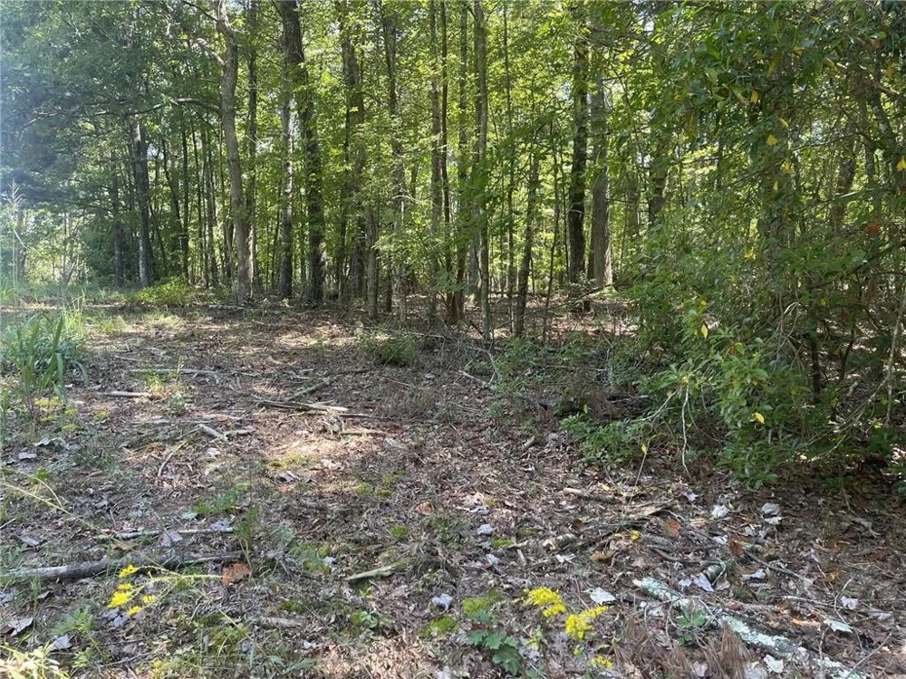 60 Oasis Drive Blue Ridge, GA 30513