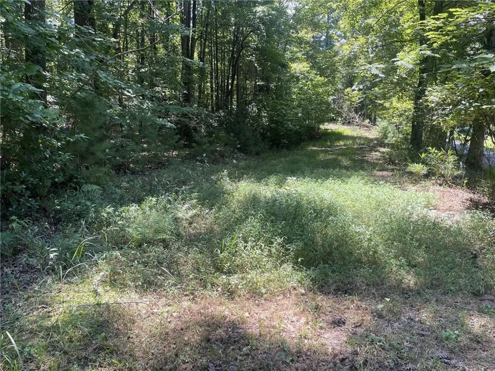 60 Oasis Drive Blue Ridge, GA 30513