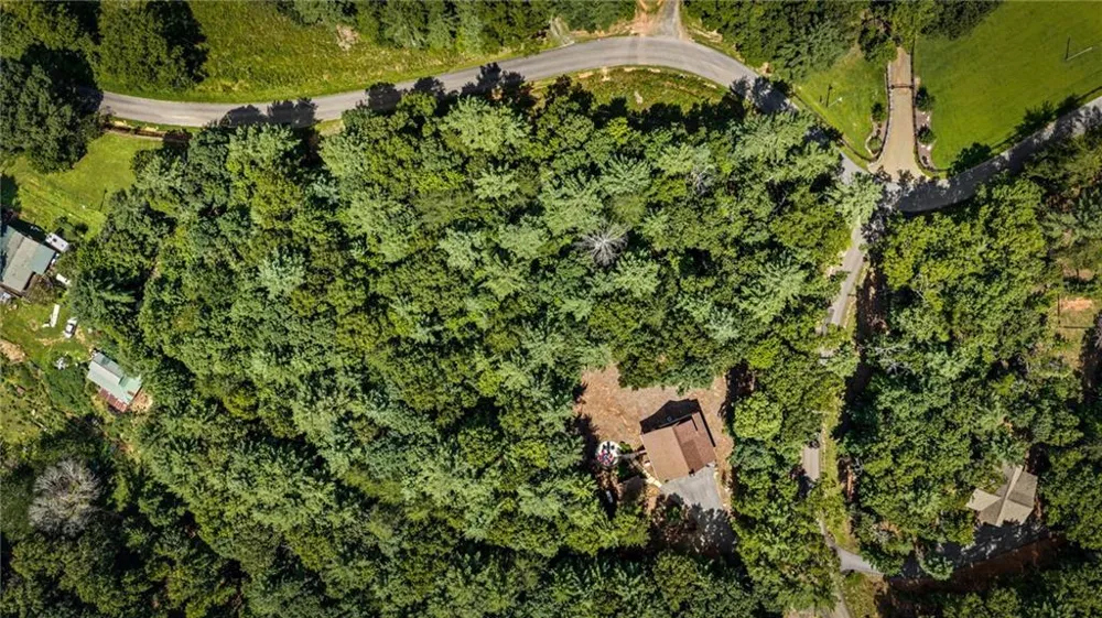60 Oasis Drive Blue Ridge, GA 30513