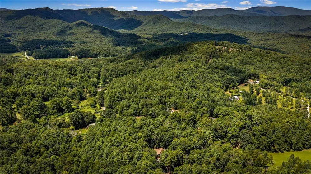 60 Oasis Drive Blue Ridge, GA 30513