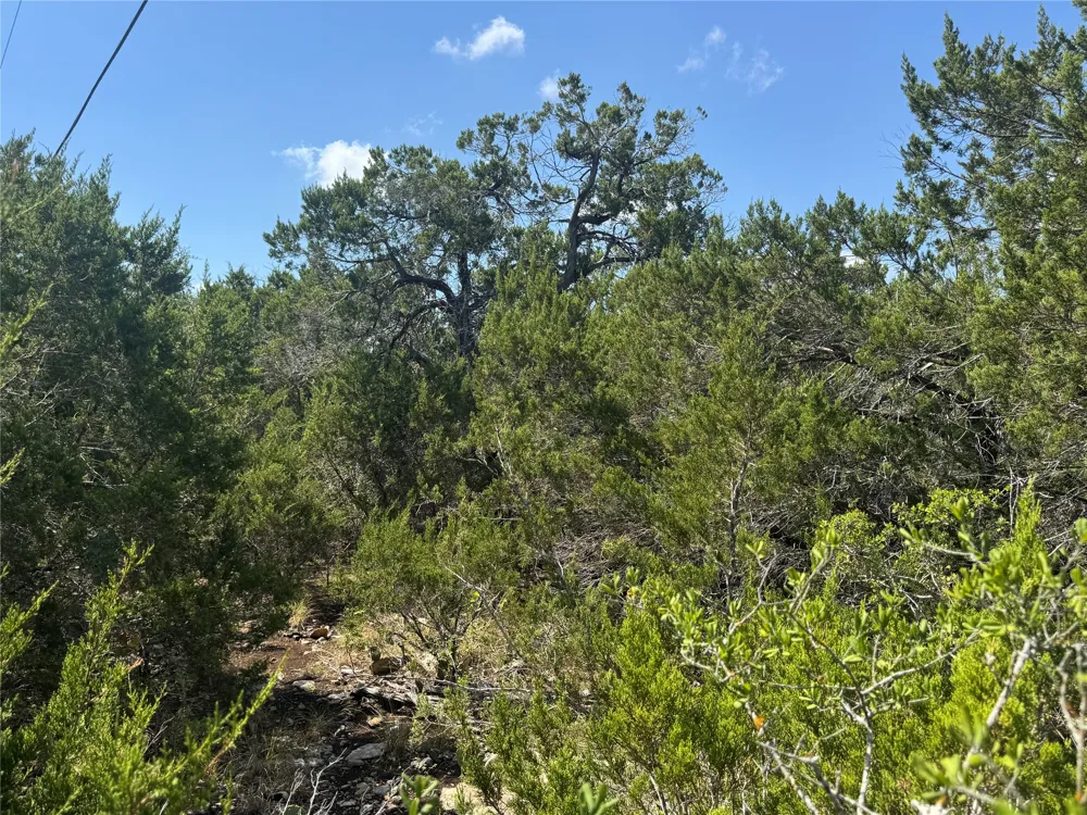 8415 S Fm 1174 Bertram, TX 78605