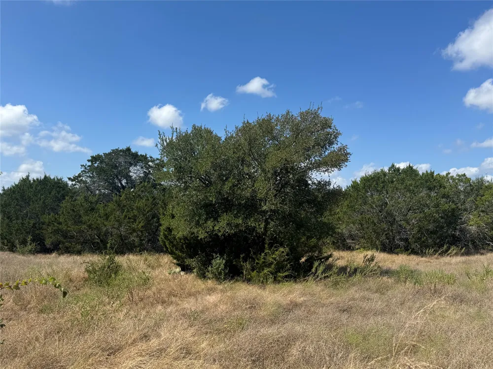 8415 S Fm 1174 Bertram, TX 78605