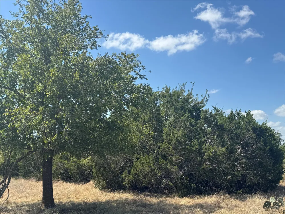 8415 S Fm 1174 Bertram, TX 78605