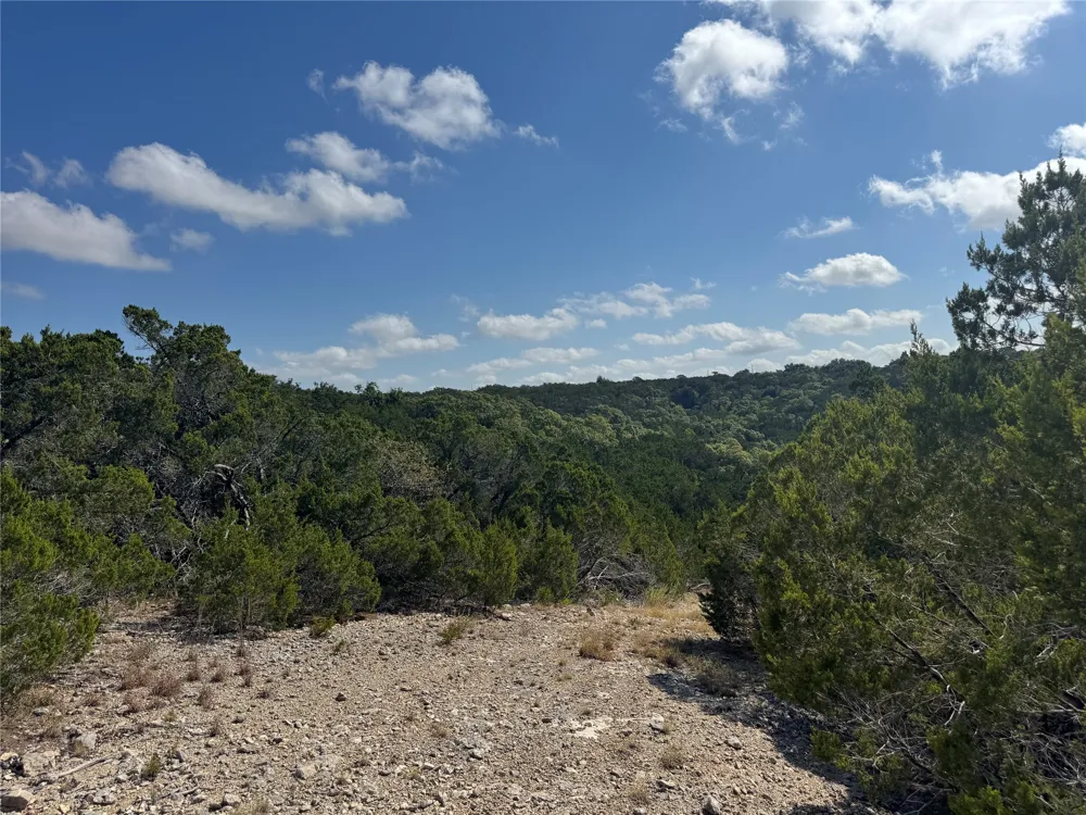 8415 S Fm 1174 Bertram, TX 78605