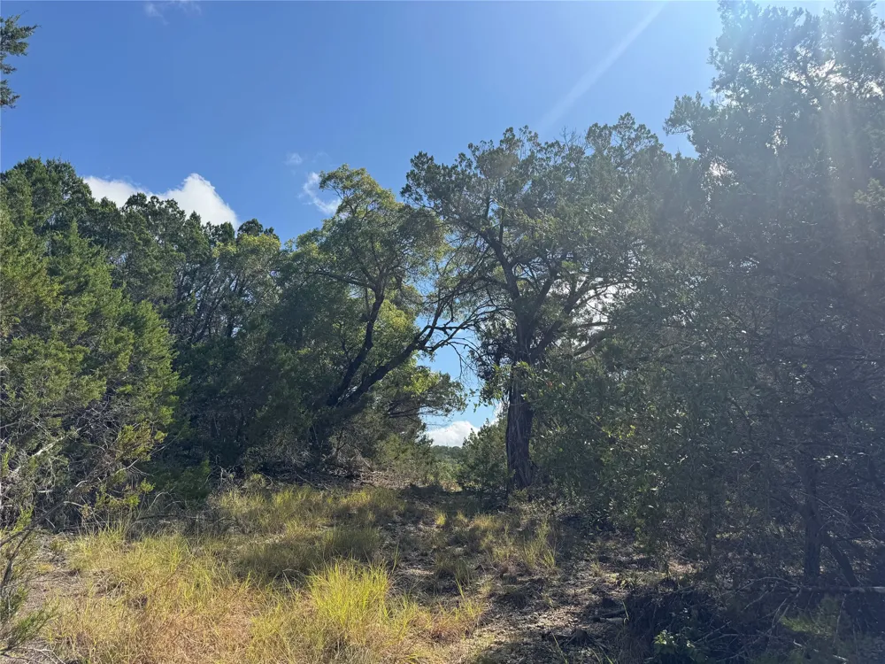 8415 S Fm 1174 Bertram, TX 78605