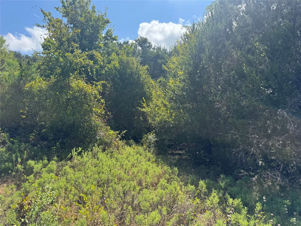 8415 S Fm 1174 Bertram, TX 78605