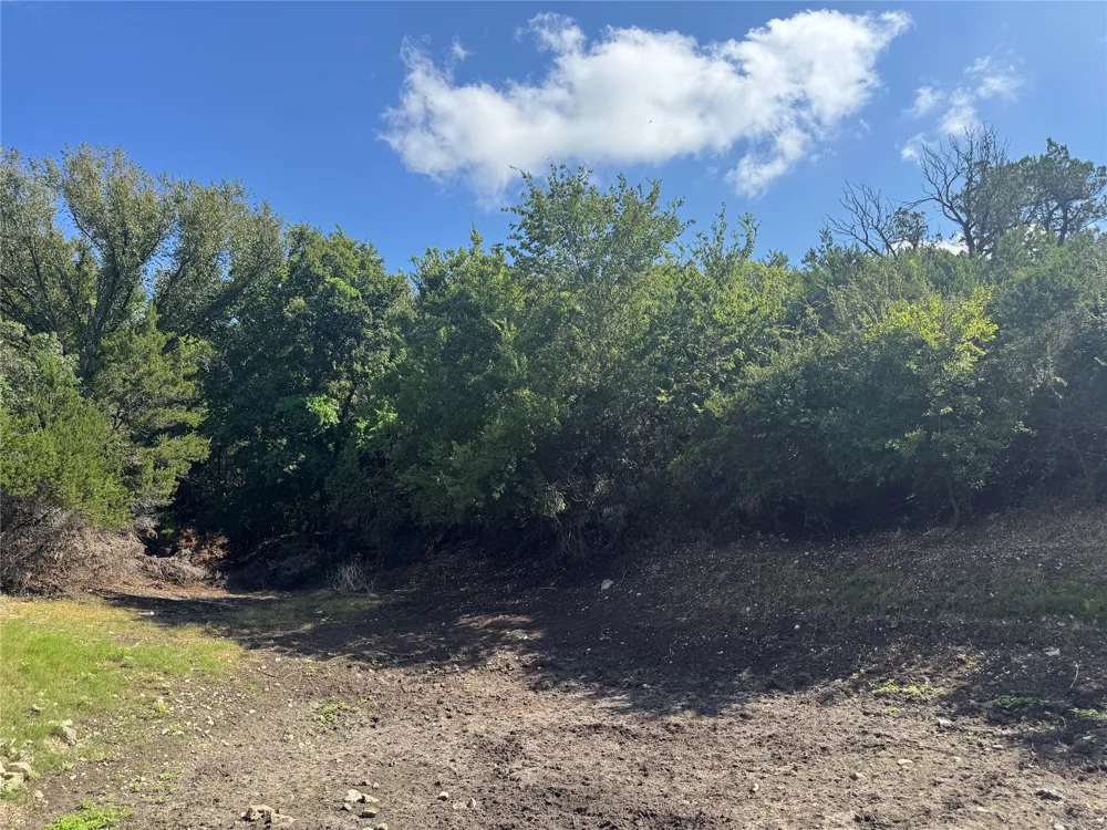8415 S Fm 1174 Bertram, TX 78605