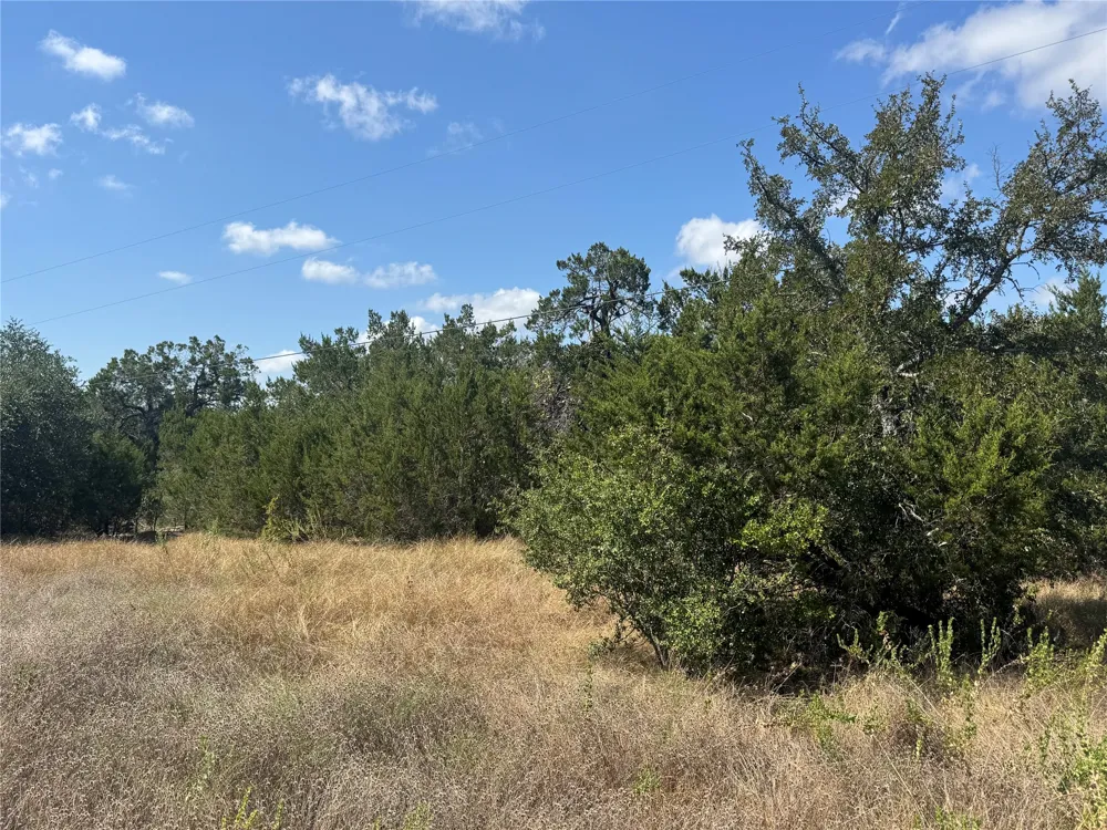 8415 S Fm 1174 Bertram, TX 78605