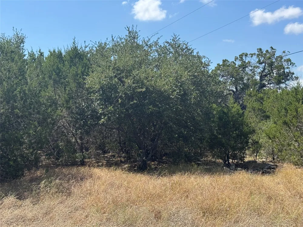 8415 S Fm 1174 Bertram, TX 78605