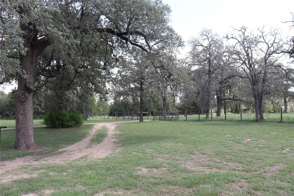 10105 Fm 86 Lockhart, TX 78644