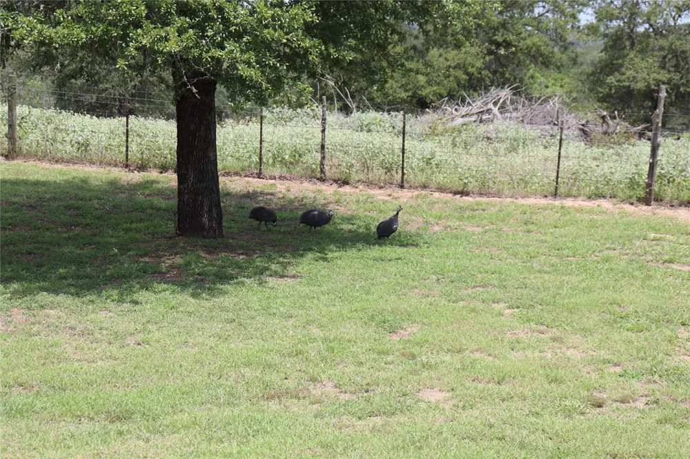 10105 Fm 86 Lockhart, TX 78644
