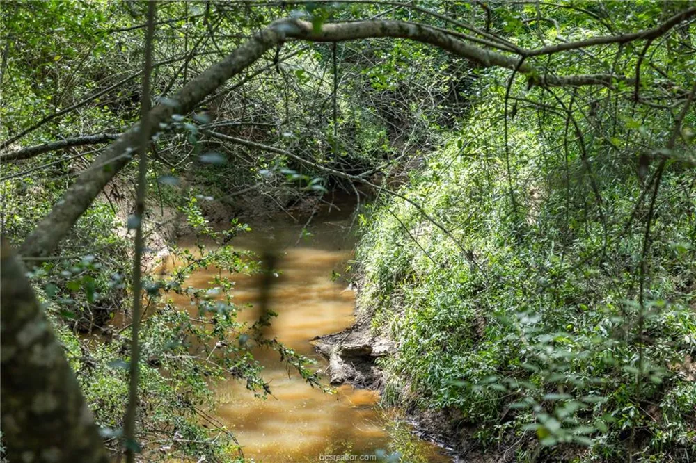 Weber Road Bryan, TX 77808