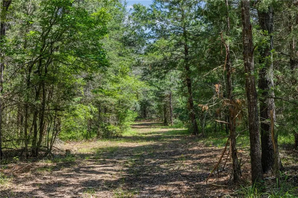 Weber Road Bryan, TX 77808