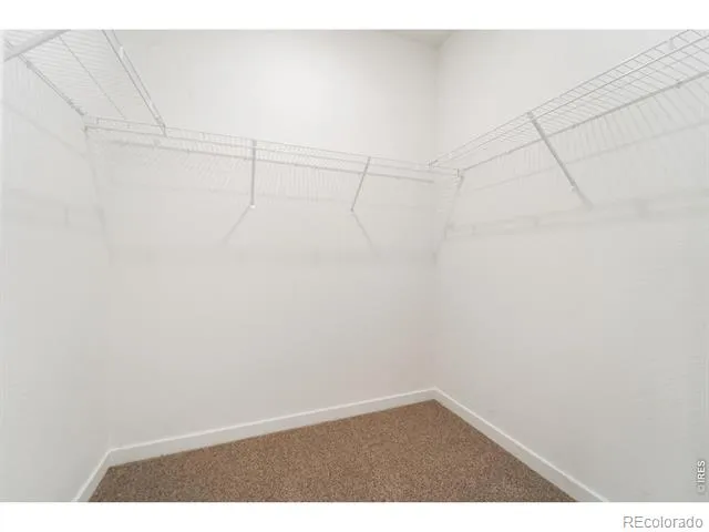 3809 Soapstone Street Evans, CO 80620