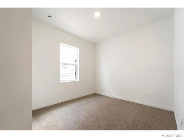 3809 Soapstone Street Evans, CO 80620