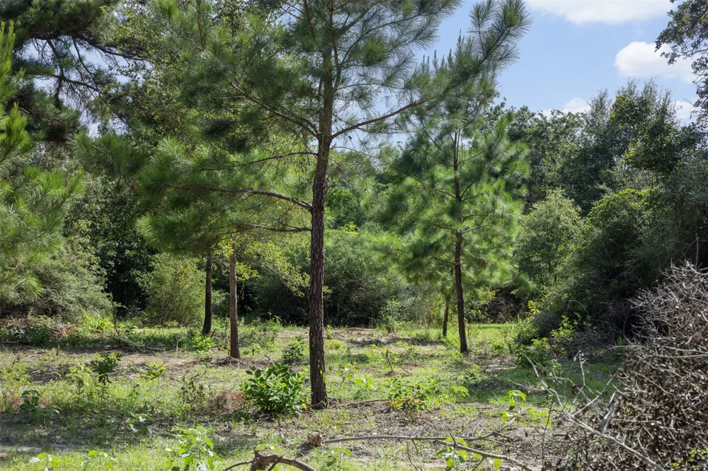 422 Private Road 7051 Road Milano, TX 76556