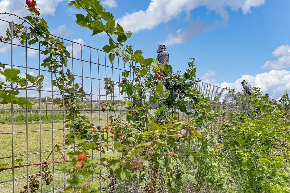 2271 County Road 112 Burnet, TX 78611