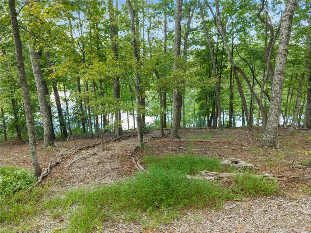 501 High Meadow Lakes Rd Clarkesville, GA 30523