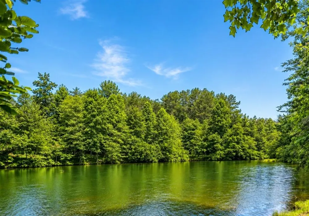 501 High Meadow Lakes Rd Clarkesville, GA 30523