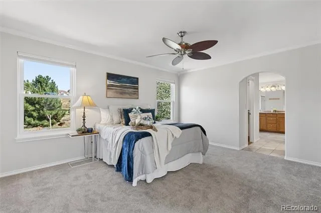 1622 Lookout Springs Drive Colorado Springs, CO 80921