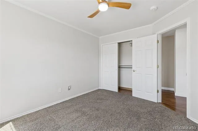 1622 Lookout Springs Drive Colorado Springs, CO 80921