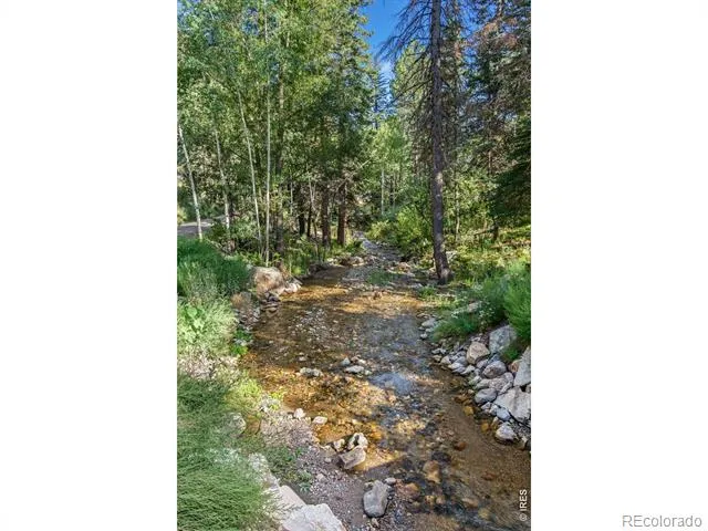 459 Streamside Drive Glen Haven, CO 80532