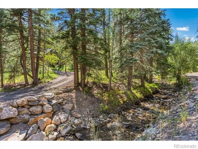 459 Streamside Drive Glen Haven, CO 80532