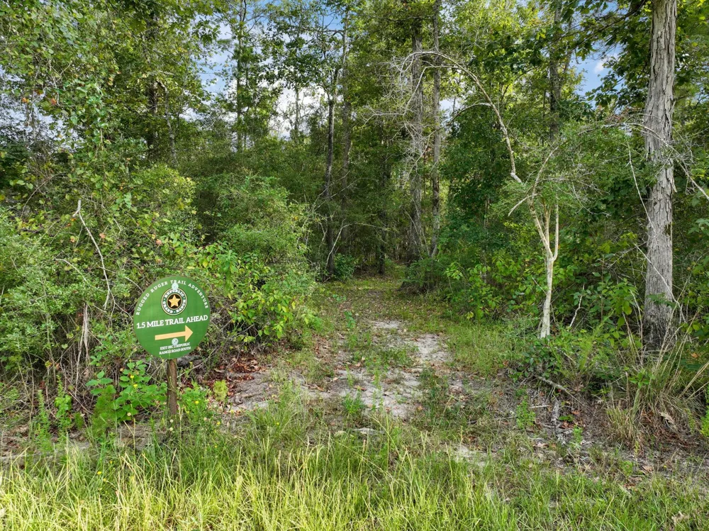 15824 Republic Ranch Road Willis, TX 77378