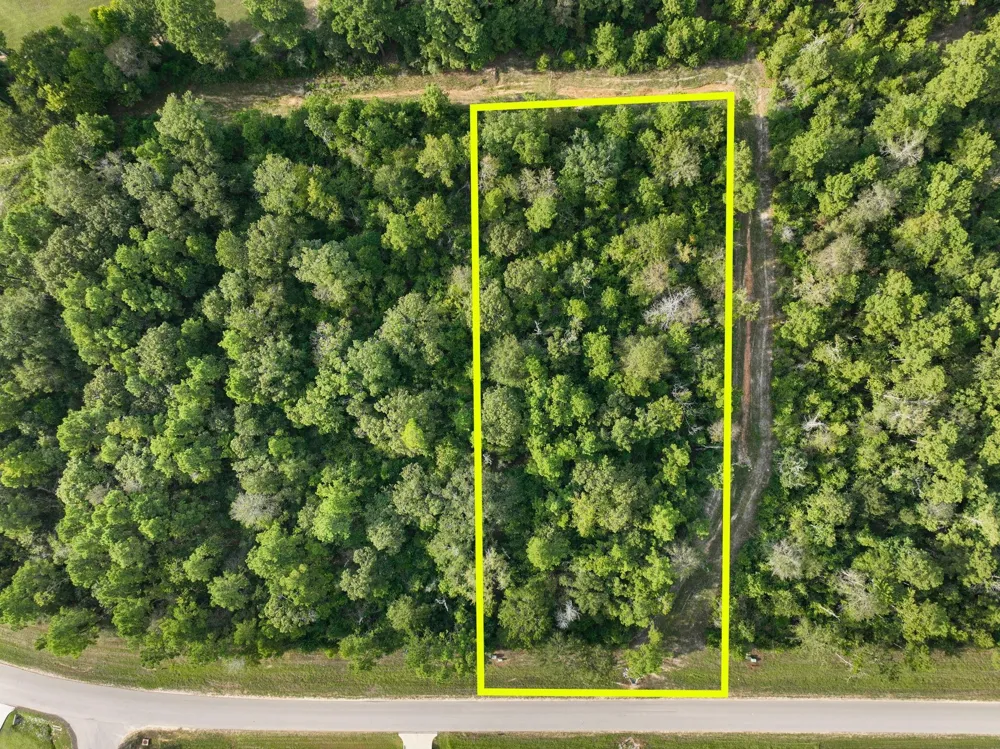 15824 Republic Ranch Road Willis, TX 77378