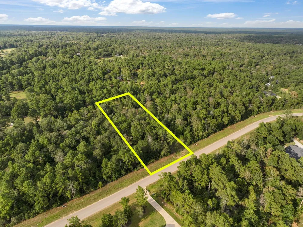 15824 Republic Ranch Road Willis, TX 77378