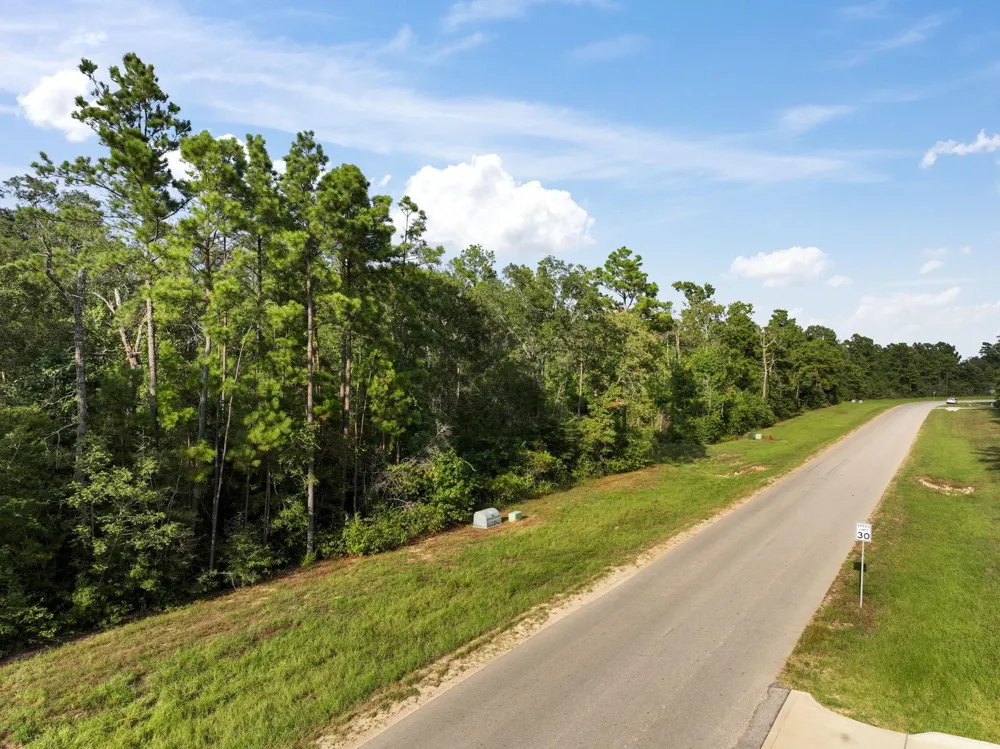 15824 Republic Ranch Road Willis, TX 77378