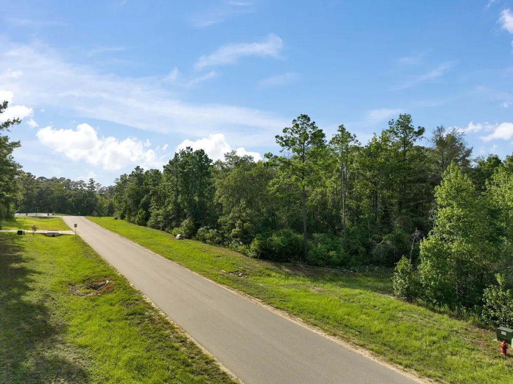 15824 Republic Ranch Road Willis, TX 77378