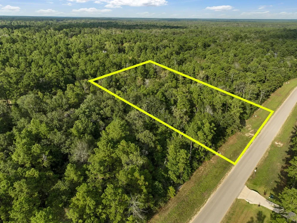 15824 Republic Ranch Road Willis, TX 77378